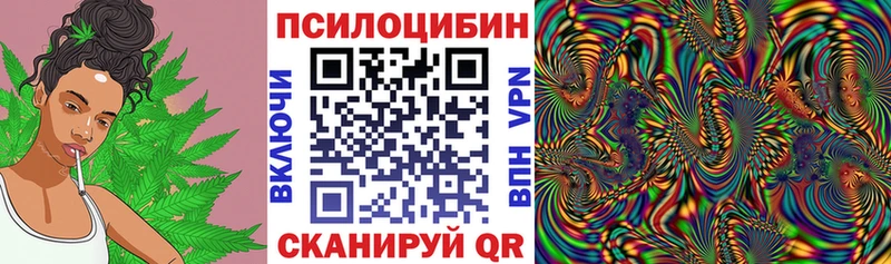 Псилоцибиновые грибы Cubensis  KRAKEN ссылки  Сосенский 